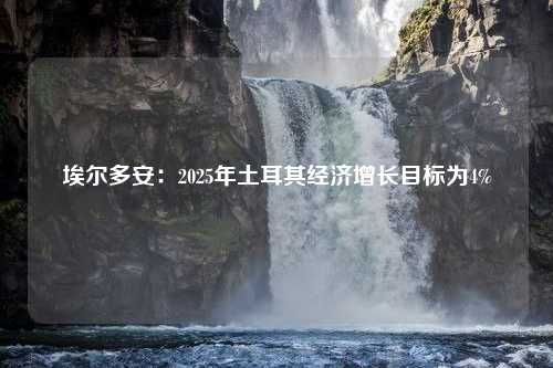 埃尔多安：2025年土耳其经济增长目标为4%