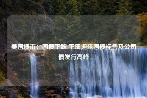 美国债市：国债下跌 下周迎来国债标售及公司债发行高峰