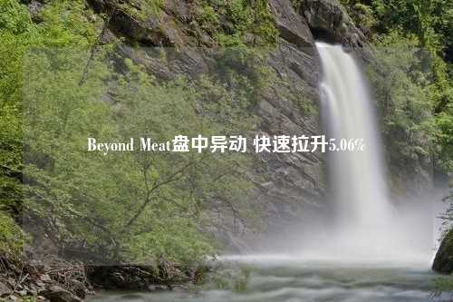 Beyond Meat盘中异动 快速拉升5.06%