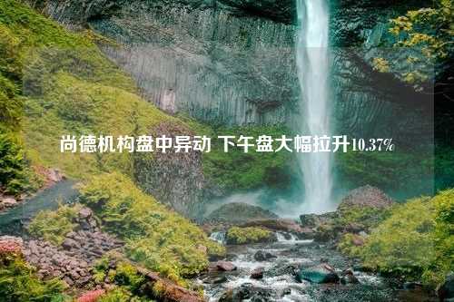 尚德机构盘中异动 下午盘大幅拉升10.37%