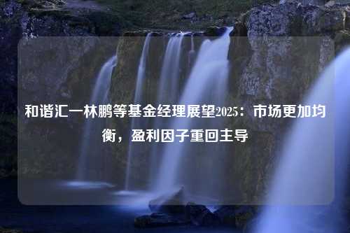 和谐汇一林鹏等基金经理展望2025：市场更加均衡，盈利因子重回主导