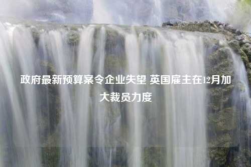 政府最新预算案令企业失望 英国雇主在12月加大裁员力度