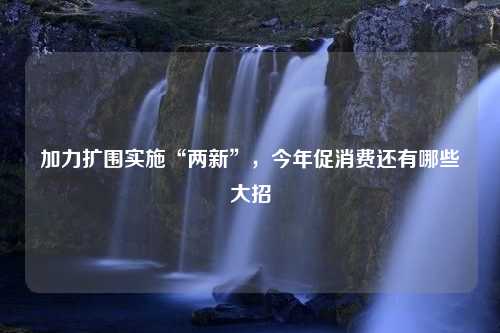 加力扩围实施“两新”，今年促消费还有哪些大招