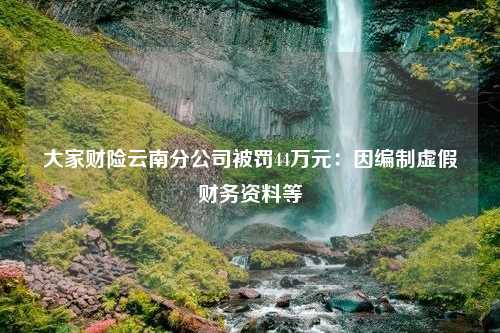 大家财险云南分公司被罚44万元：因编制虚假财务资料等