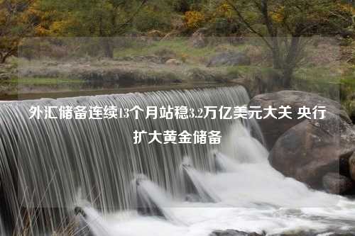 外汇储备连续13个月站稳3.2万亿美元大关 央行扩大黄金储备