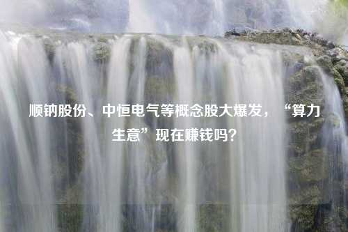 顺钠股份、中恒电气等概念股大爆发，“算力生意”现在赚钱吗？