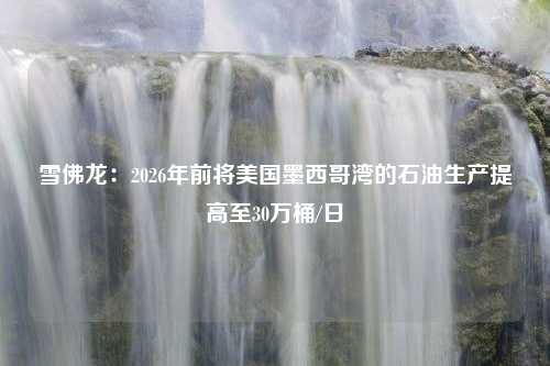 雪佛龙：2026年前将美国墨西哥湾的石油生产提高至30万桶/日