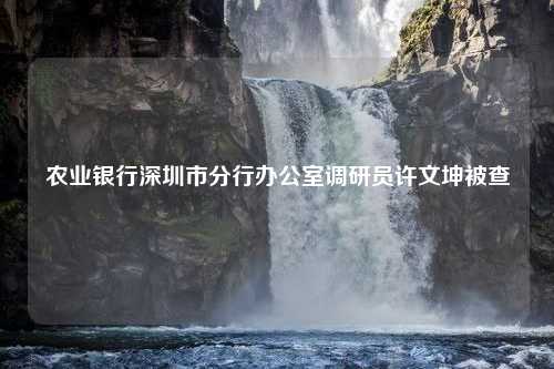 农业银行深圳市分行办公室调研员许文坤被查