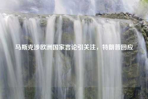 马斯克涉欧洲国家言论引关注，特朗普回应