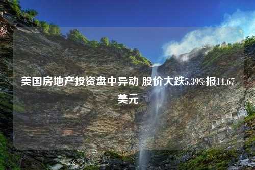 美国房地产投资盘中异动 股价大跌5.39%报14.67美元