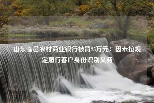 山东临邑农村商业银行被罚25万元：因未按规定履行客户身份识别义务