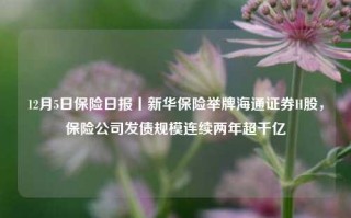 12月5日保险日报丨新华保险举牌海通证券H股，保险公司发债规模连续两年超千亿