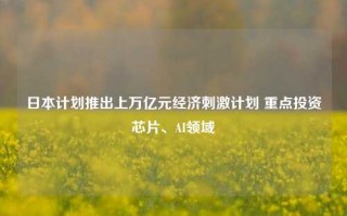 日本计划推出上万亿元经济刺激计划 重点投资芯片、AI领域