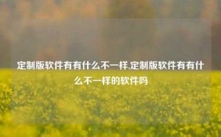 定制版软件有有什么不一样,定制版软件有有什么不一样的软件吗