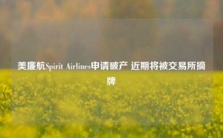 美廉航Spirit Airlines申请破产 近期将被交易所摘牌