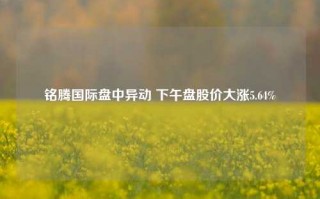 铭腾国际盘中异动 下午盘股价大涨5.64%