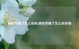 被软件骗了怎么投诉,被软件骗了怎么投诉他