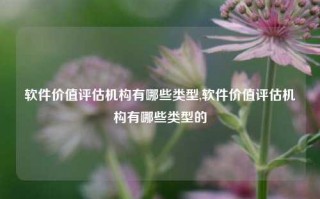 软件价值评估机构有哪些类型,软件价值评估机构有哪些类型的