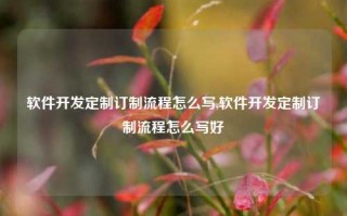 软件开发定制订制流程怎么写,软件开发定制订制流程怎么写好