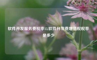 软件开发服务费税率13,软件开发费增值税税率是多少