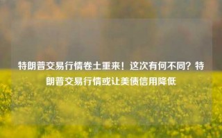 特朗普交易行情卷土重来！这次有何不同？特朗普交易行情或让美债信用降低