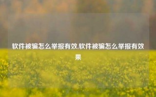 软件被骗怎么举报有效,软件被骗怎么举报有效果