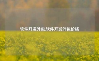 软件开发外包,软件开发外包价格