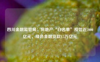 四川金融监管局：房地产“白名单”授信近2000亿元，绿色金融贷款1.5万亿元