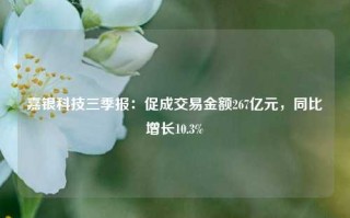 嘉银科技三季报：促成交易金额267亿元，同比增长10.3%