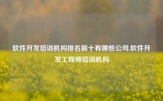 软件开发培训机构排名前十有哪些公司,软件开发工程师培训机构