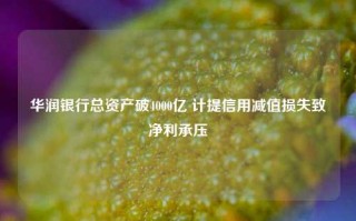 华润银行总资产破4000亿 计提信用减值损失致净利承压