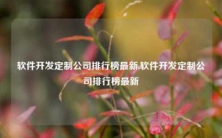 软件开发定制公司排行榜最新,软件开发定制公司排行榜最新