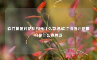 软件价值评估机构是什么意思,软件价值评估机构是什么意思呀