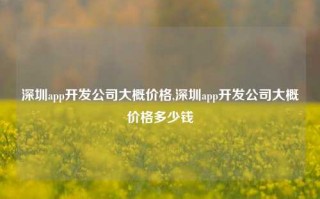 深圳app开发公司大概价格,深圳app开发公司大概价格多少钱