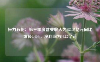 恒力石化：第三季度营业收入为652.25亿元同比增长2.42%，净利润为10.87亿元