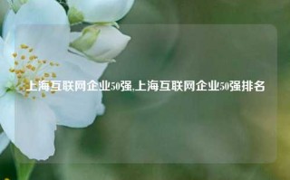 上海互联网企业50强,上海互联网企业50强排名