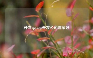 开发app,app开发公司哪家好