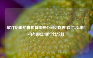 软件培训的机构有哪些公司可以做,软件培训机构有哪些?哪个比较好