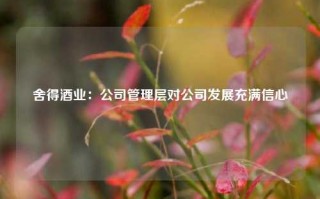 舍得酒业：公司管理层对公司发展充满信心