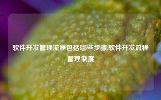 软件开发管理流程包括哪些步骤,软件开发流程管理制度