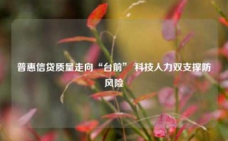 普惠信贷质量走向“台前” 科技人力双支撑防风险