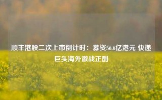 顺丰港股二次上市倒计时：募资56.6亿港元 快递巨头海外激战正酣