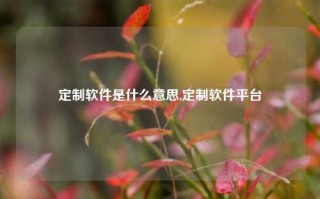 定制软件是什么意思,定制软件平台