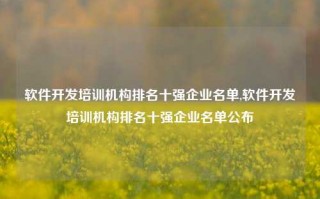 软件开发培训机构排名十强企业名单,软件开发培训机构排名十强企业名单公布