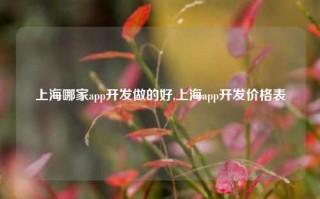 上海哪家app开发做的好,上海app开发价格表