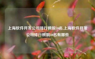 上海软件开发公司排行榜前10名,上海软件开发公司排行榜前10名有哪些