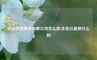 企云信息技术有限公司怎么样,企信云是做什么的