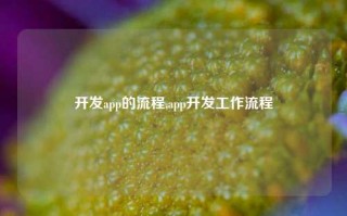 开发app的流程,app开发工作流程