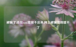 被骗了,钱在app,提现不出来,网上被骗提现提不了