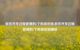 软件开发过程管理的5个阶段包括,软件开发过程管理的5个阶段包括哪些